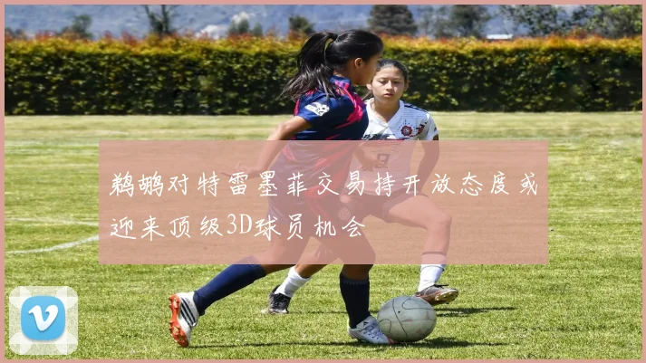 鹈鹕对特雷墨菲交易持开放态度或迎来顶级3D球员机会