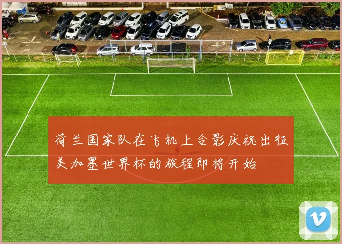 荷兰国家队在飞机上合影庆祝出征美加墨世界杯的旅程即将开始