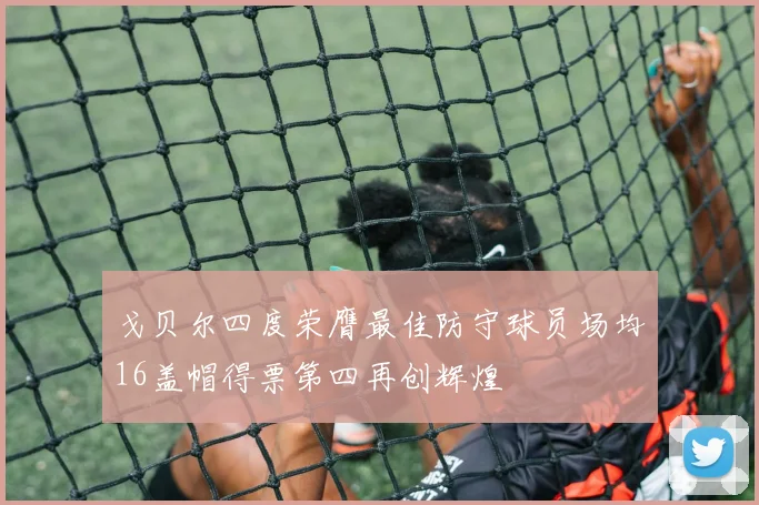 戈贝尔四度荣膺最佳防守球员场均16盖帽得票第四再创辉煌